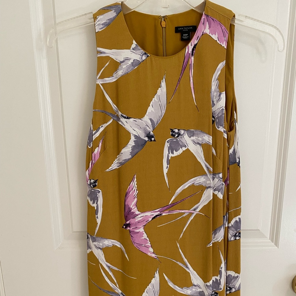 Ann Taylor Swallow Dress